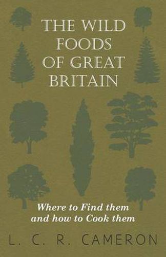 Cover image for The Wild Foods Of Great Britain Where To Find Them And How To Cook Them