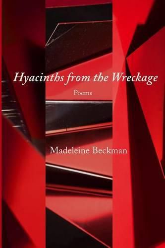 Cover image for Hyacinths from the Wreckage