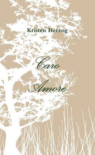 Cover image for Caro Amore