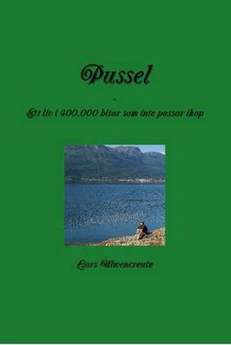 Cover image for Pussel