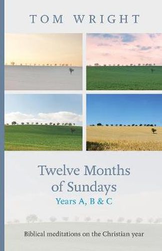 Cover image for Twelve Months of Sundays Years A, B and C: Biblical Meditations On The Christian Year
