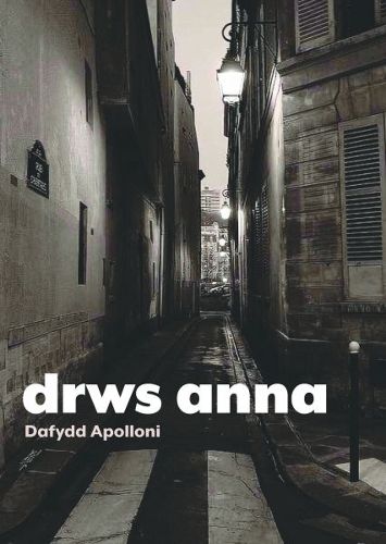 Cover image for Drws Anna