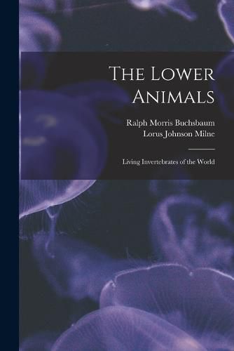 Cover image for The Lower Animals; Living Invertebrates of the World
