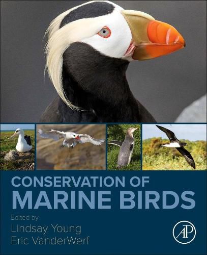 Cover image for Conservation of Marine Birds