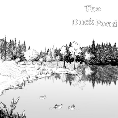 The Duck Pond