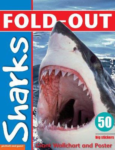 Cover image for Fold-Out Poster Sticker Book: Sharks