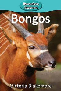 Cover image for Bongos