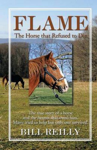 Cover image for Flame - The Horse That Refused to Die