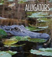 Cover image for Alligators