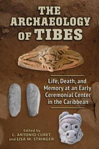 Cover image for The Archaeology of Tibes