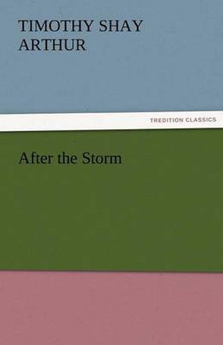 Cover image for After the Storm