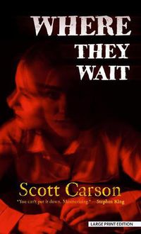 Cover image for Where They Wait