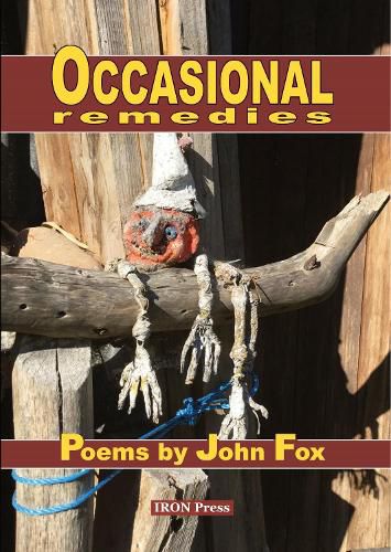 Cover image for Occasional Remedies
