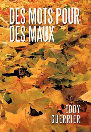 Cover image for Des Mots Pour Des Maux