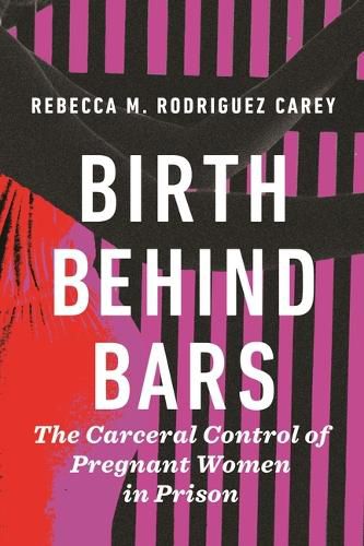 Cover image for Birth Behind Bars