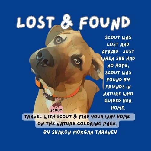 Cover image for Lost & Found