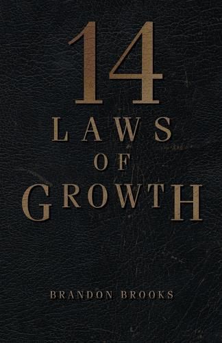 Cover image for 14 Laws of Growth