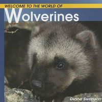 Cover image for Welcome to the World of Wolverines
