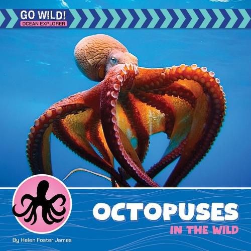 Cover image for Octopuses in the Wild