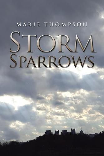 Cover image for Storm Sparrows