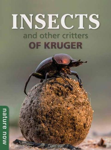 Cover image for Insects and other Critters of Kruger