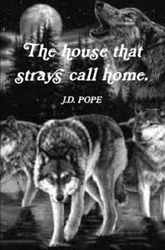 Cover image for The House That Strays Call Home.