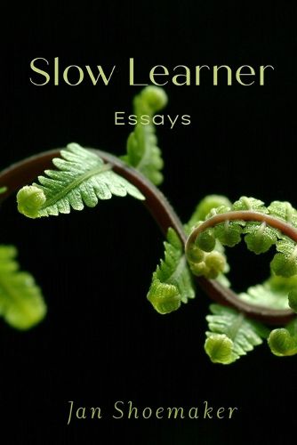 Cover image for Slow Learner