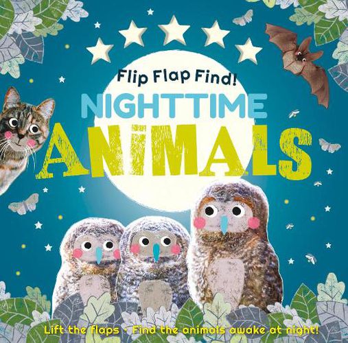 Cover image for Flip Flap Find! Night-time Animals: Lift the flaps. Find the animals awake at night!