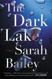 Cover image for The Dark Lake