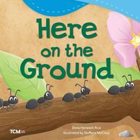 Cover image for Here on the Ground