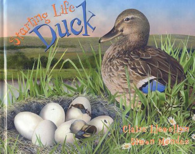 Cover image for Duck