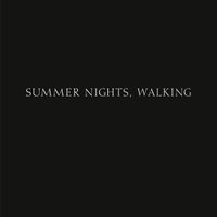 Cover image for Robert Adams: Summer Nights, Walking