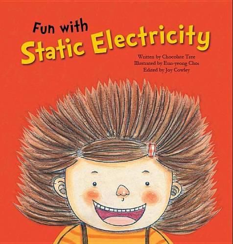 Cover image for Fun With Static Electricity: Electricity
