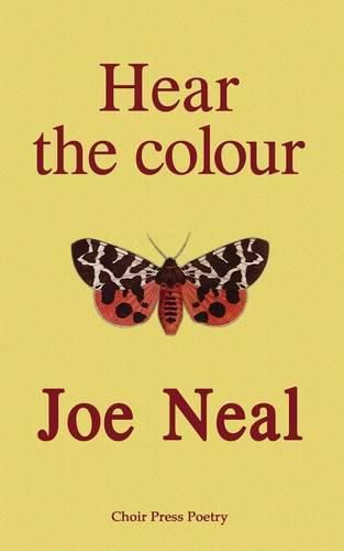 Cover image for Hear the colour