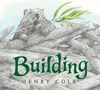 Cover image for Building