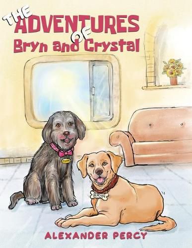 Cover image for The Adventures of Bryn and Crystal