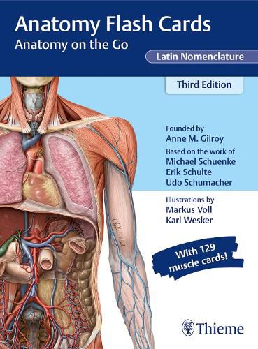Cover image for Anatomy Flash Cards, Latin Nomenclature