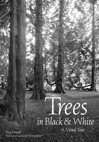 Cover image for Trees In Black & White: A Visual Tour