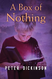 Cover image for A Box of Nothing