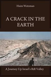 Cover image for A Crack in the Earth