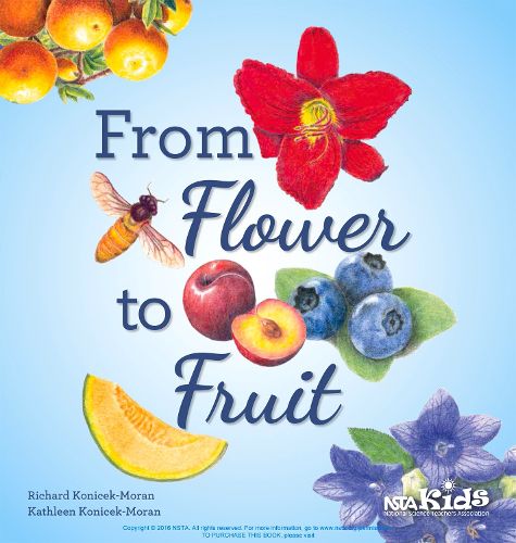 Cover image for From Flower to Fruit