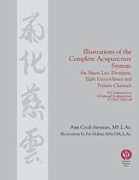 Cover image for Illustrations of the Complete Acupuncture System: The Sinew, Luo, Divergent, Eight Extraordinary, Primary Channels and all their Branches