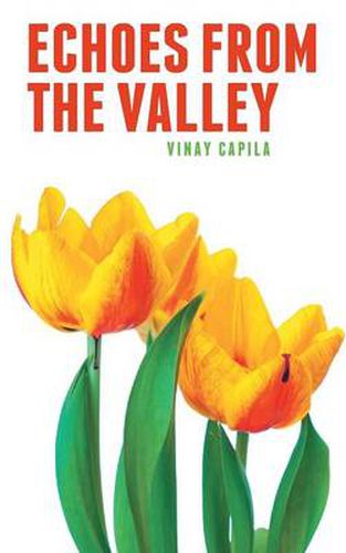 Cover image for Echoes from the Valley