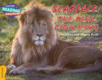 Cover image for Cambridge Reading Adventures Scarface: The Real Lion King Gold Band