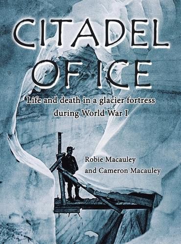 Cover image for Citadel of Ice