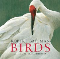 Cover image for Birds