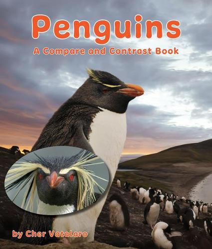 Cover image for Penguins: A Compare and Contrast Book