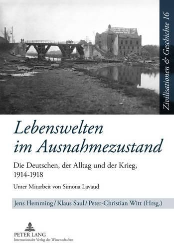 Lebenswelten Im Ausnahmezustand: Die Deutschen, Der Alltag Und Der Krieg, 1914-1918