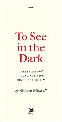 Cover image for To See In the Dark