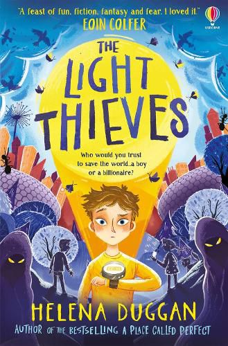 Cover image for The Light Thieves